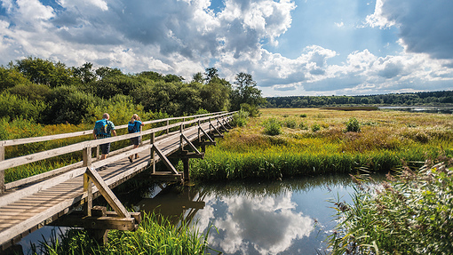 WESTERWÄLDER SEENPLATTE - Sieben sogenannte Weiher bilden die Westerwälder Seenplatte.