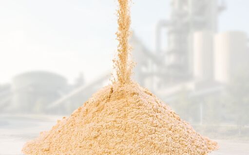 Biomasse zu Pulver
